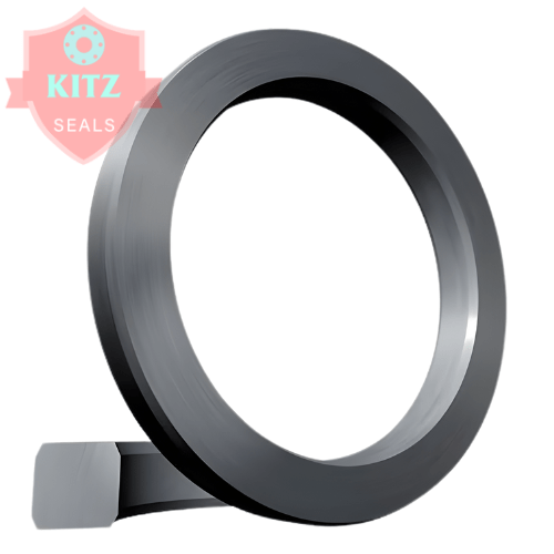 BX Ring Joint Gasket