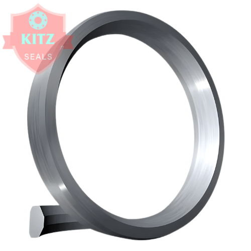 RX Ring Joint Gasket
