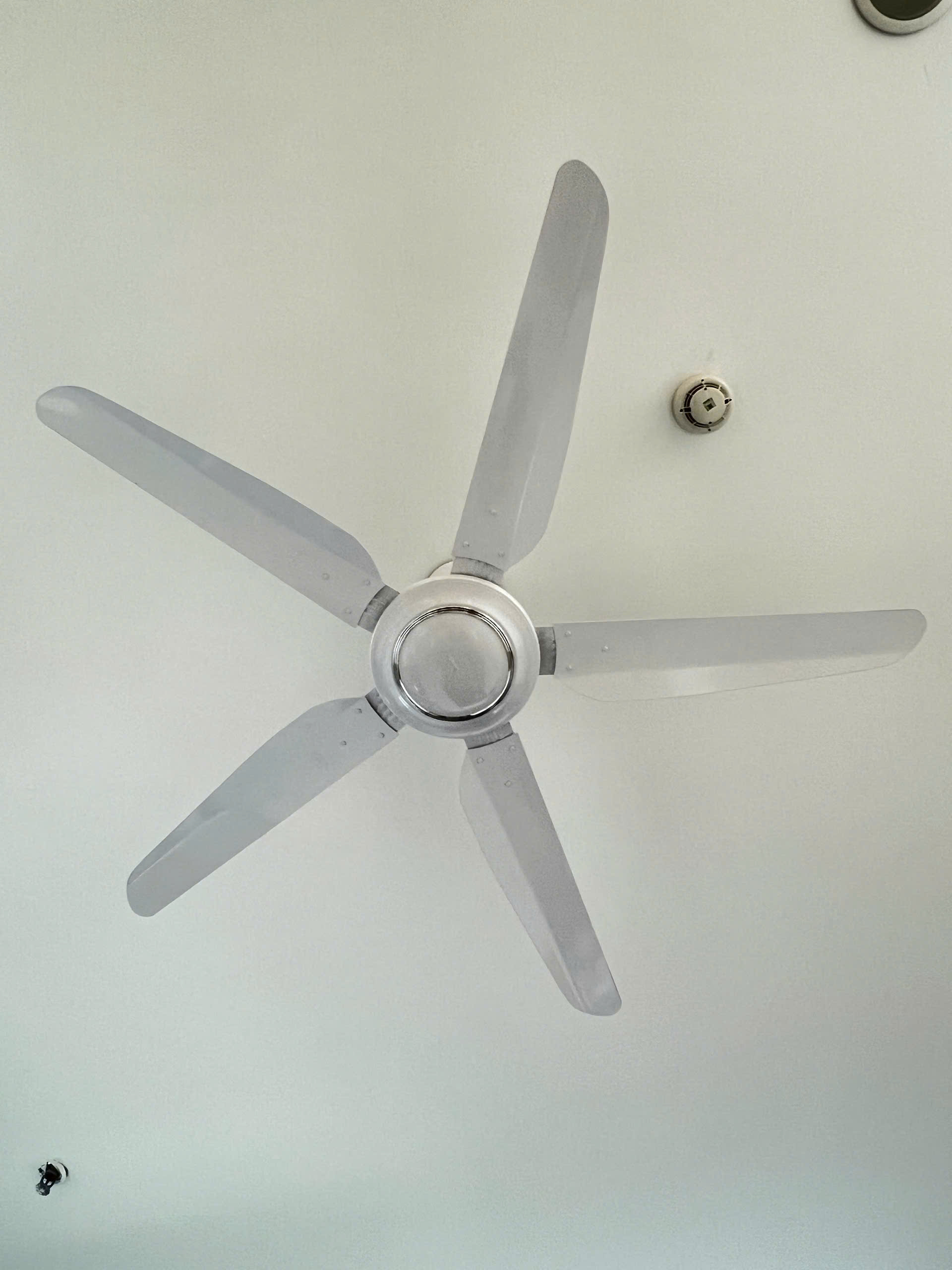 quạt trần 5 cánh