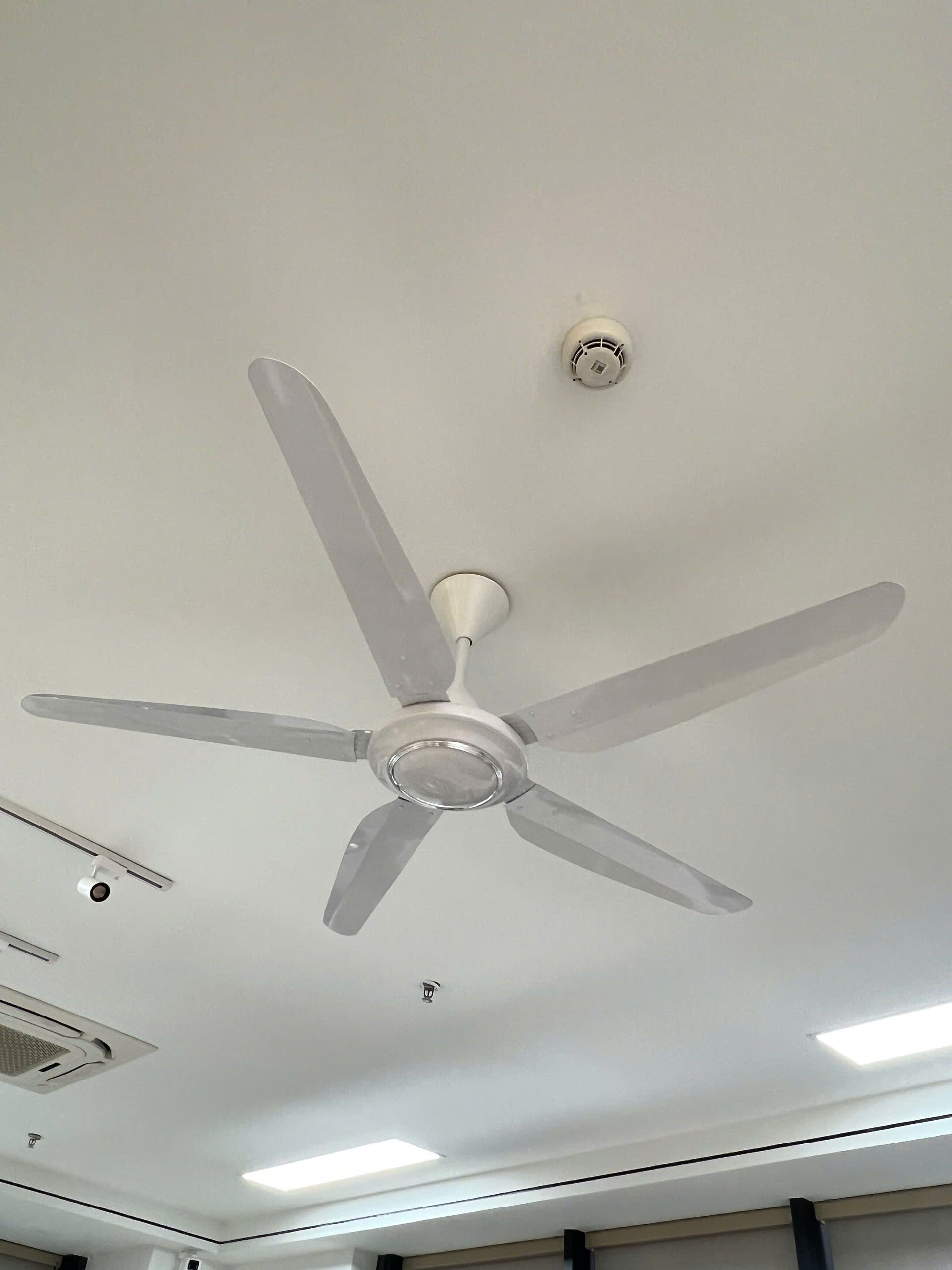 quạt trần đẹp