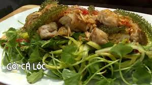 Cách Làm Món Gỏi Cá Lóc