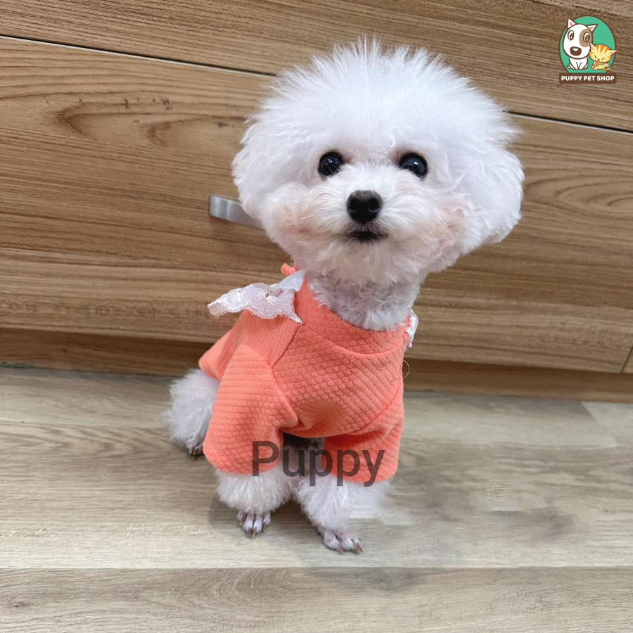 Váy Cam Họa Tiết Hoa Nhỏ Xinh Xắn Cho Thú Cưng Puppy Pet Shop