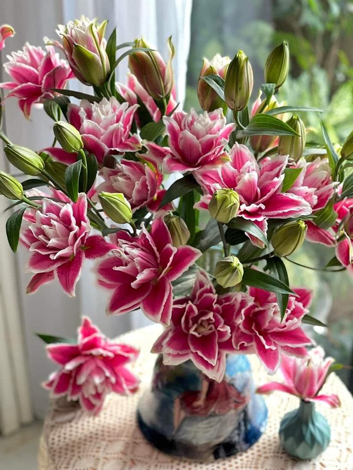 ly-kep-hong-samatha-bo-5-canh-4-5-tai