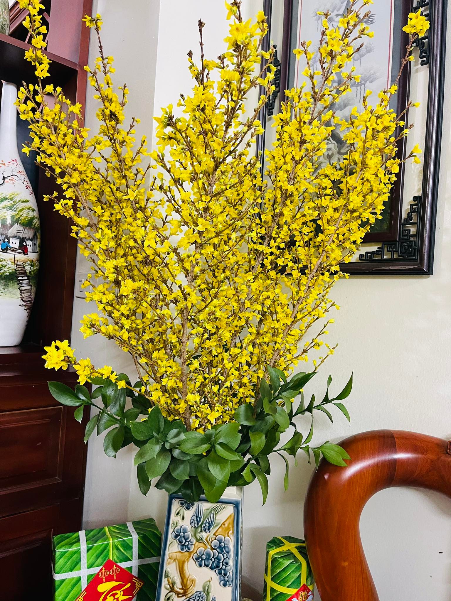 Mai mỹ Hà Lan size 90cm (cành)