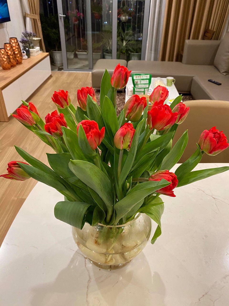 Tulip kép các màu (bó 10 bông)