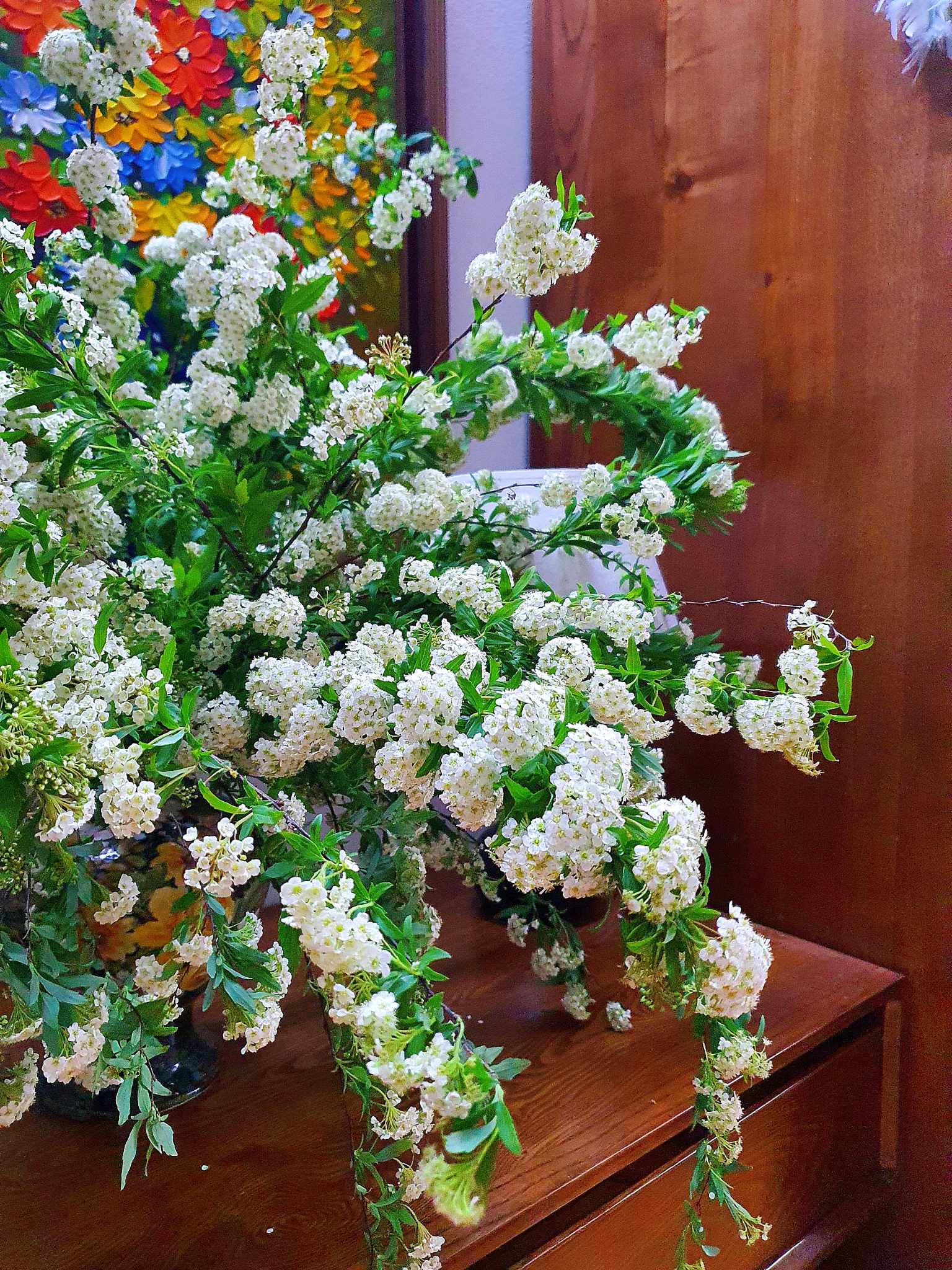 Tiểu tú cầu (bó)