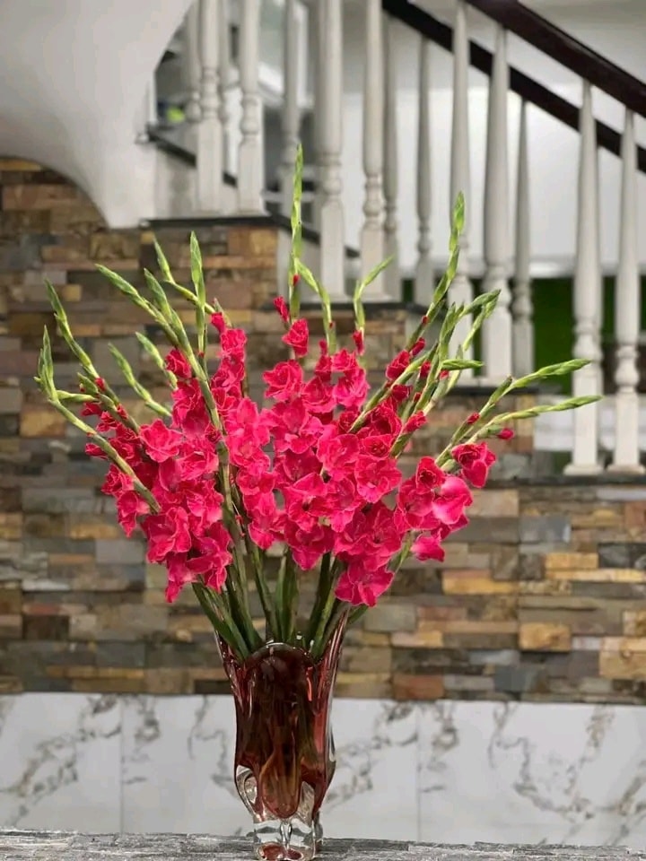 don-hong-xac-phao-bo-10-bong