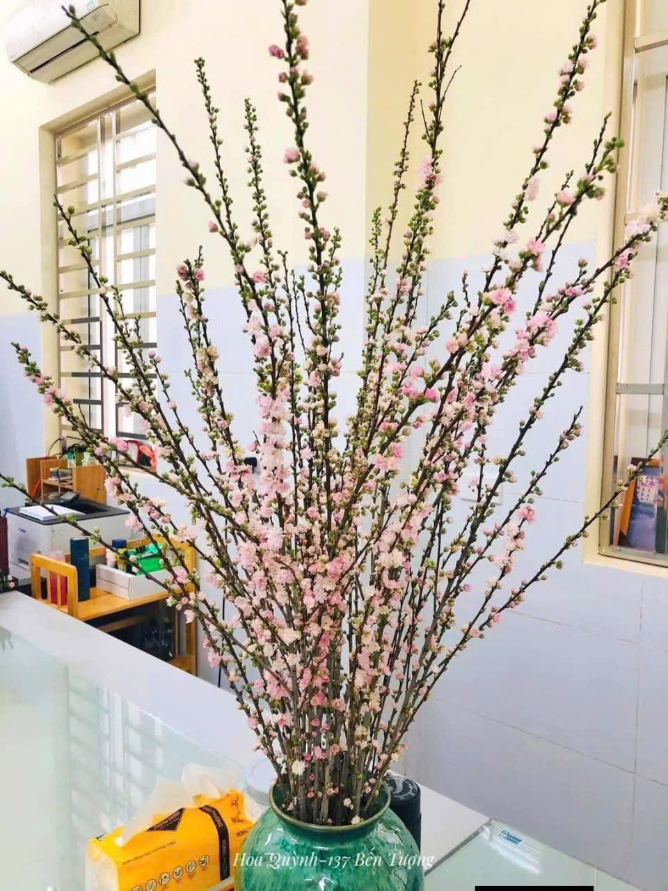 anh-dao-kep-bo-5-7-canh