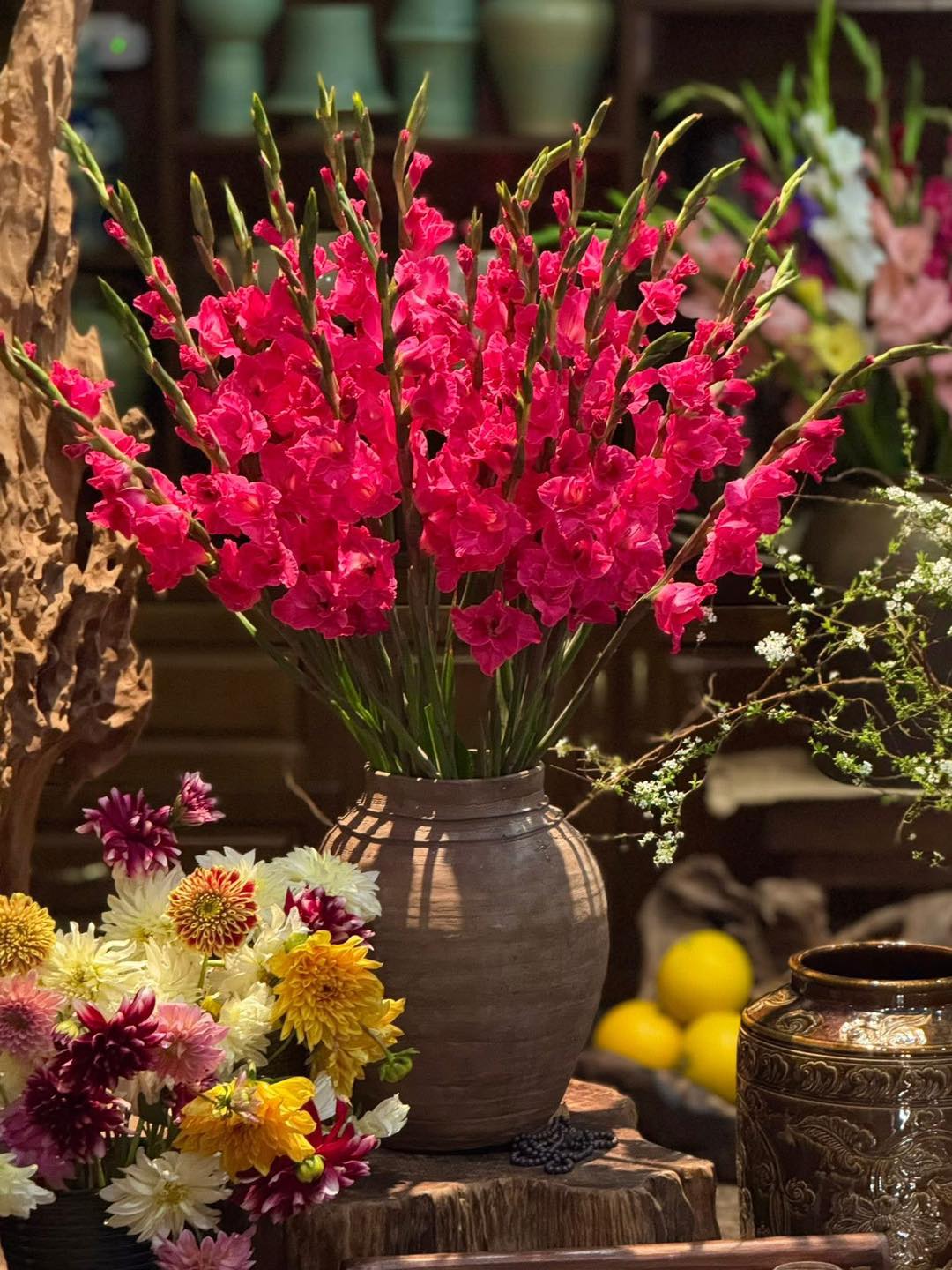 Dơn hồng xác pháo (bó 10 bông)