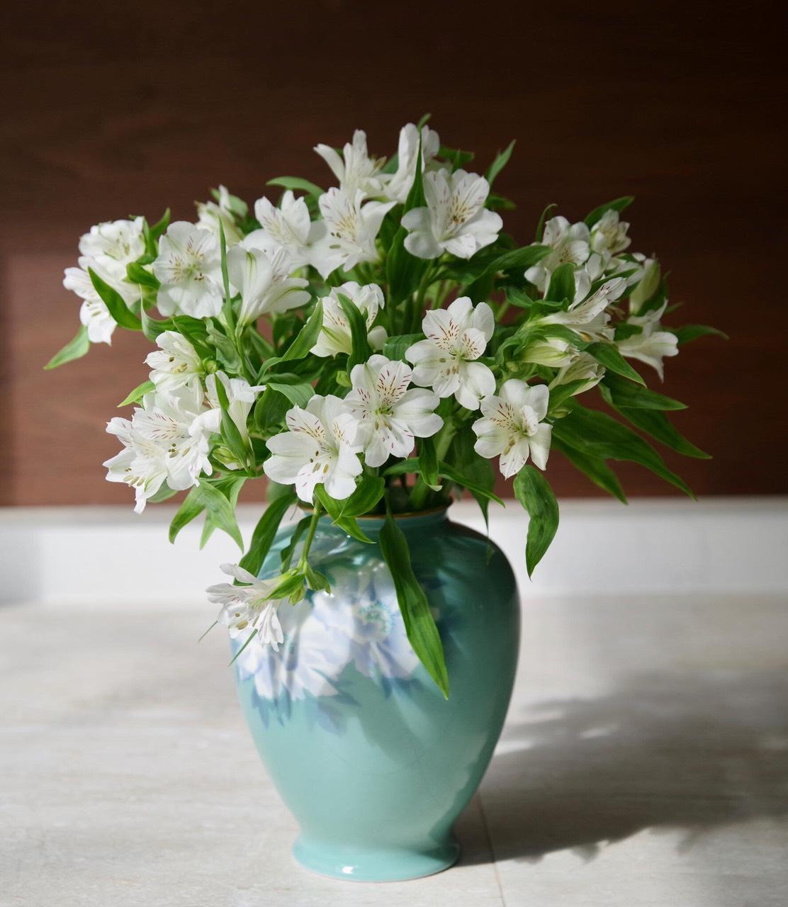Thủy tiên đủ màu (bó 10 cành)