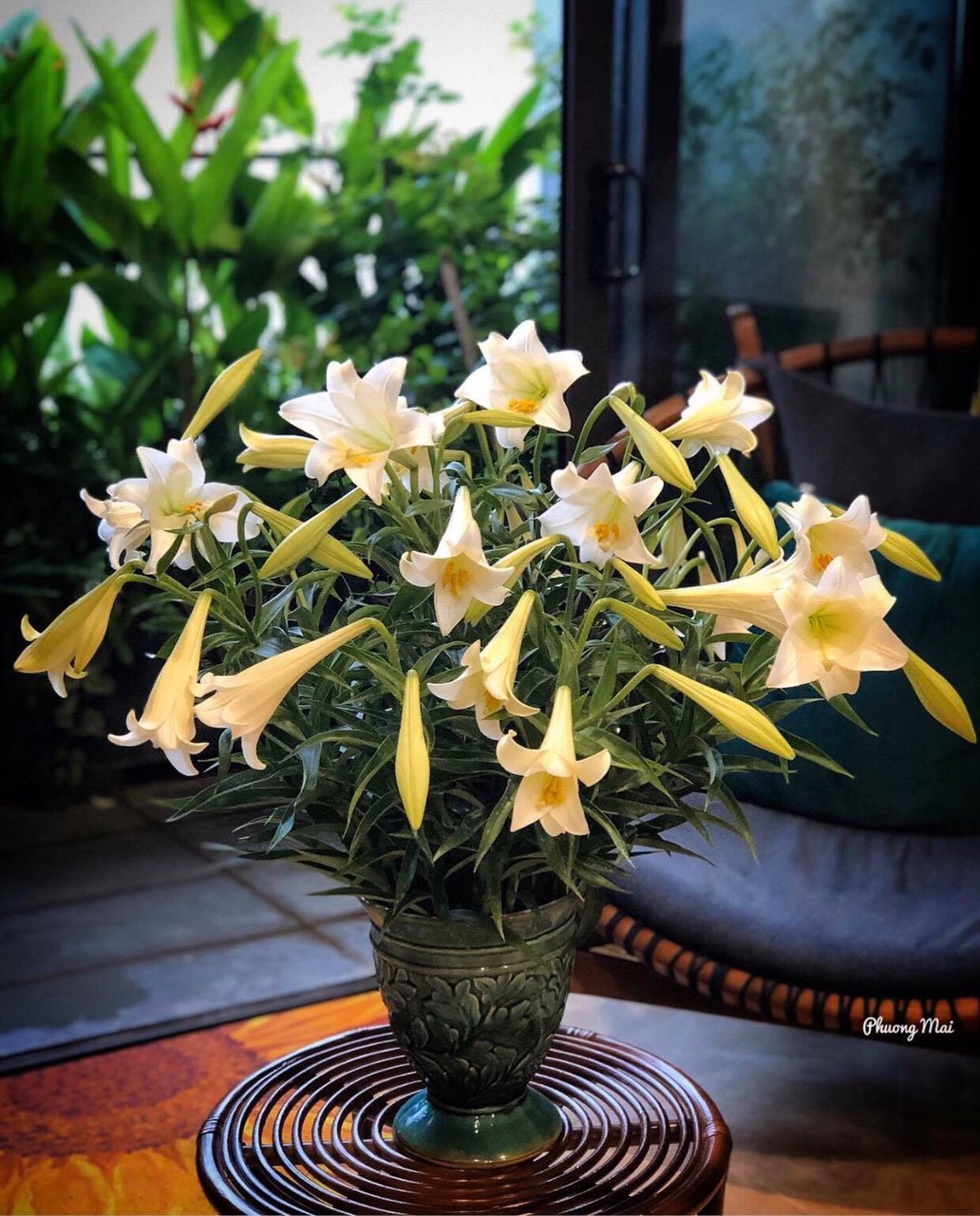 Sản phẩm mẫu 17