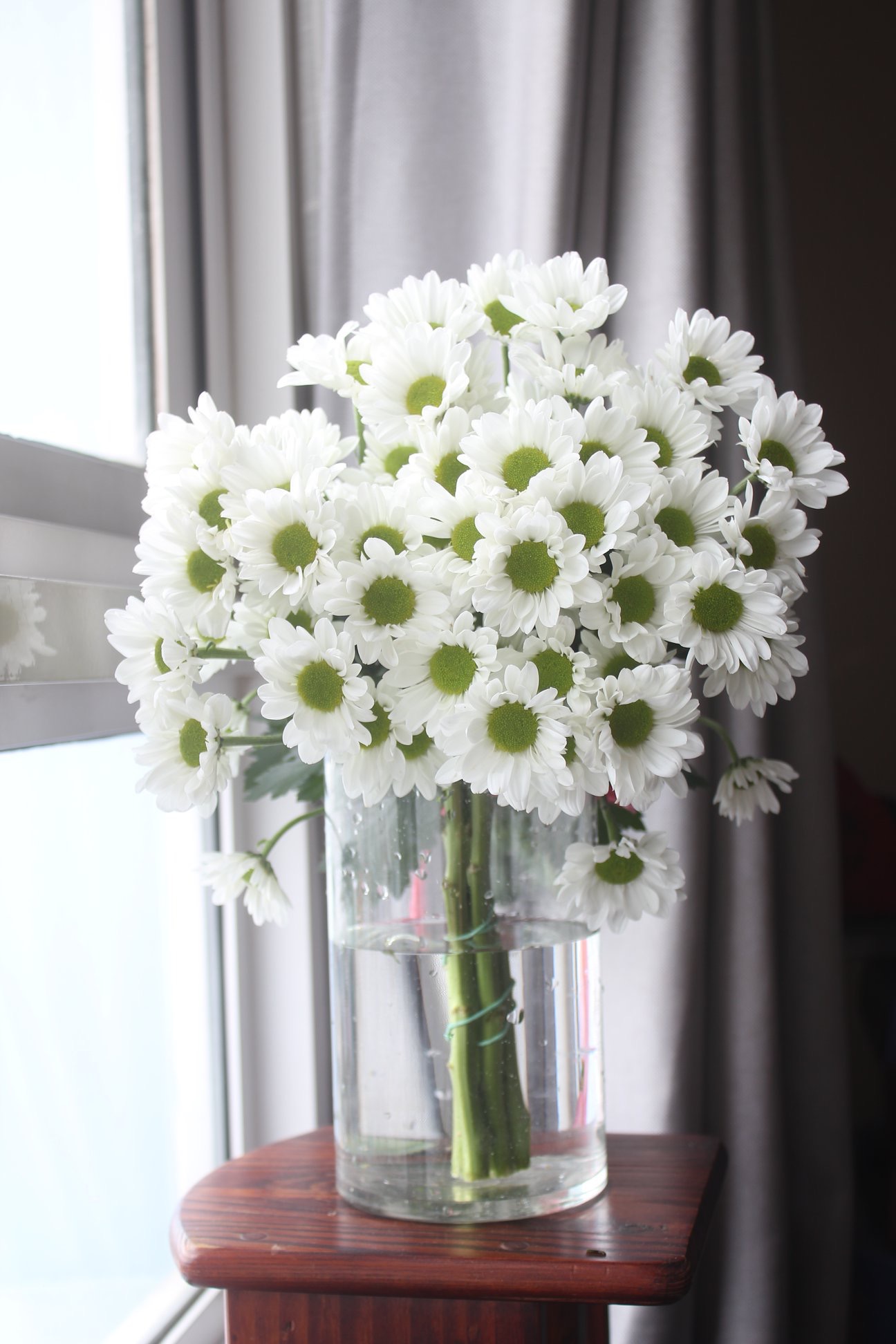 Sản phẩm mẫu 12