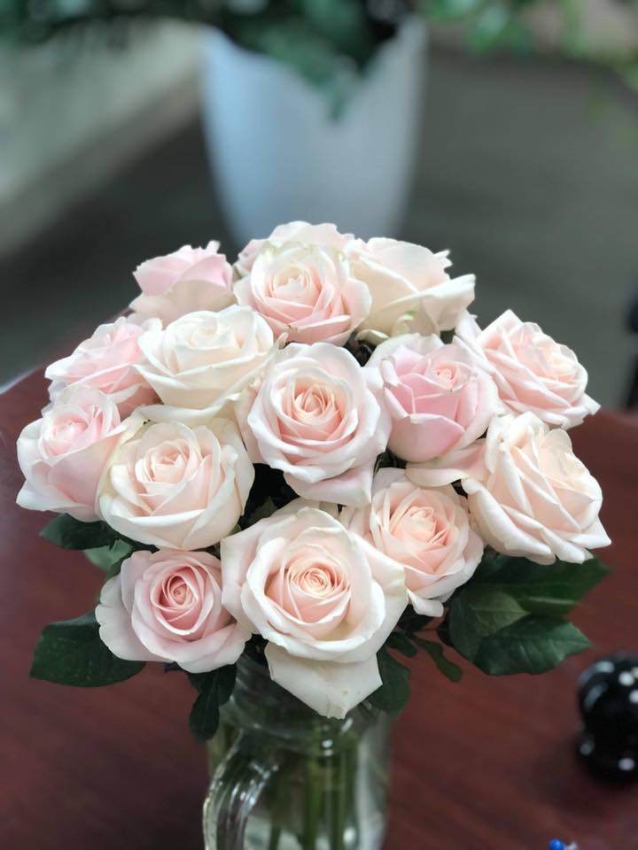 Sản phẩm mẫu 13