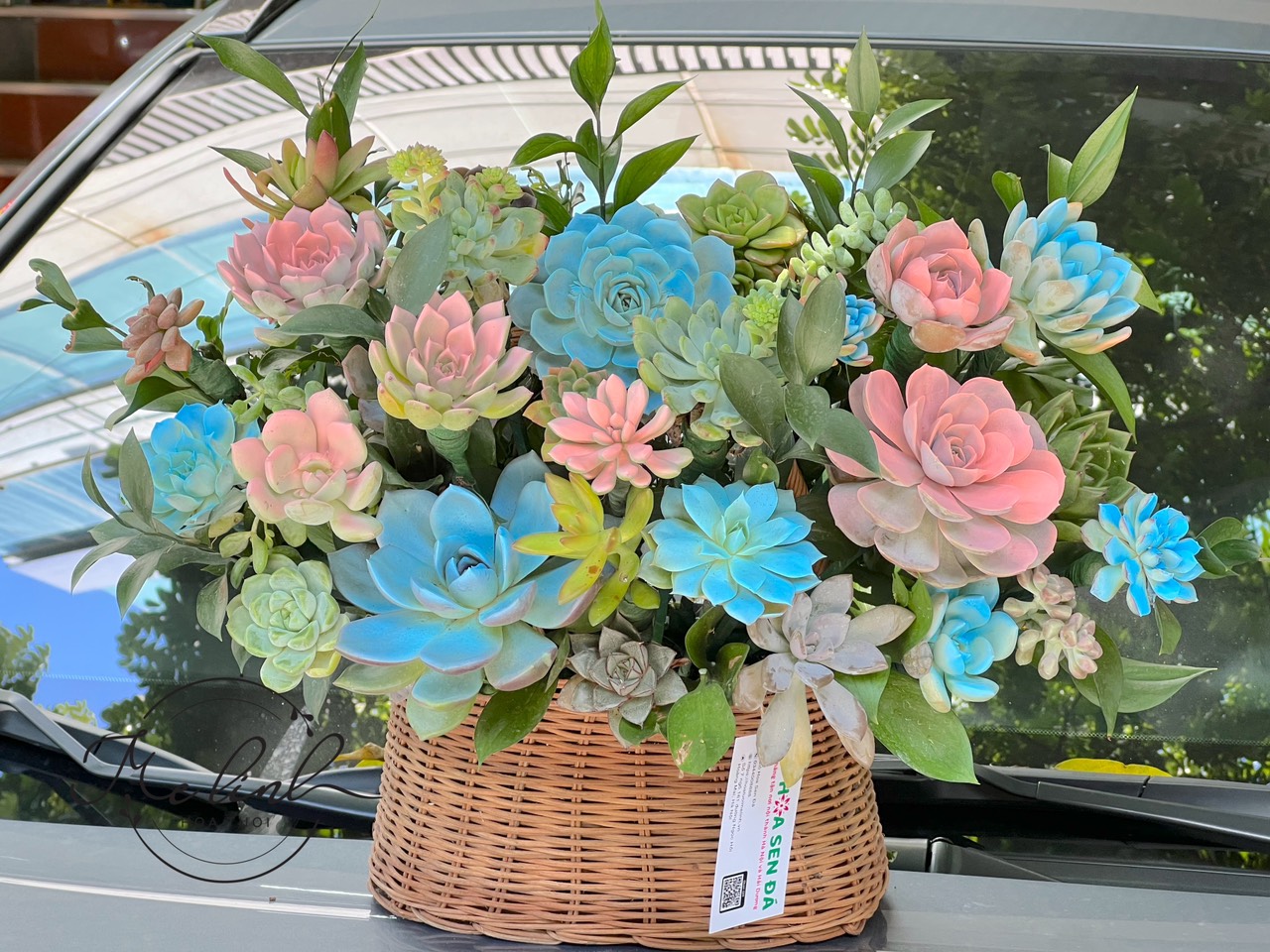 gio-hoa-sen-da-mix-mau