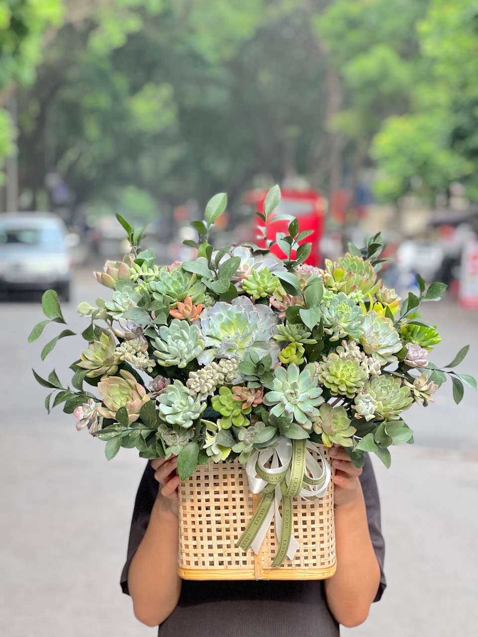 Lẵng hoa sen đá màu nguyên bản