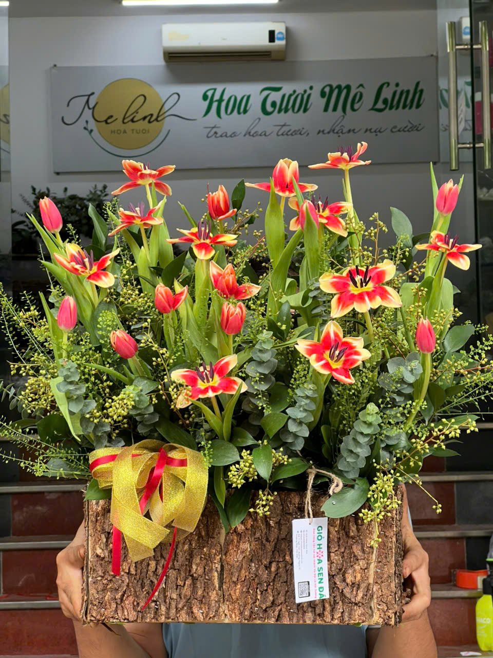 Chậu hoa tulip