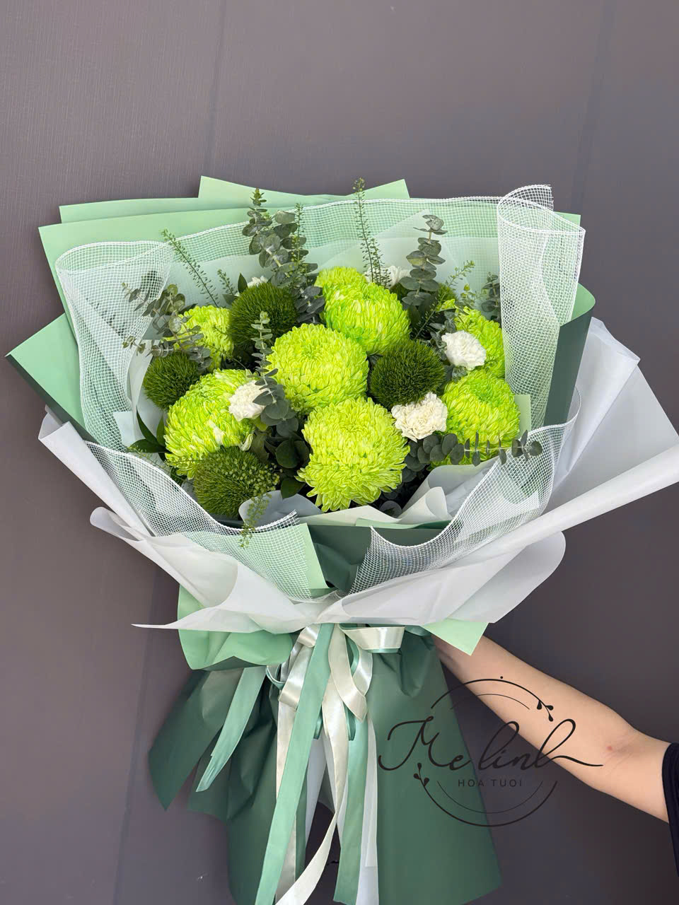 Cúc mẫu đơn xanh lá