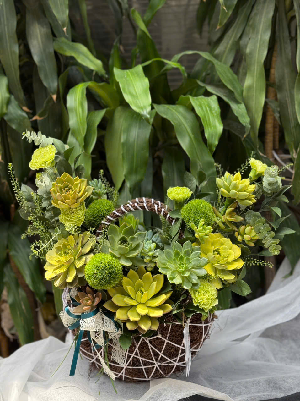 Giỏ hoa sen đá vàng chanh