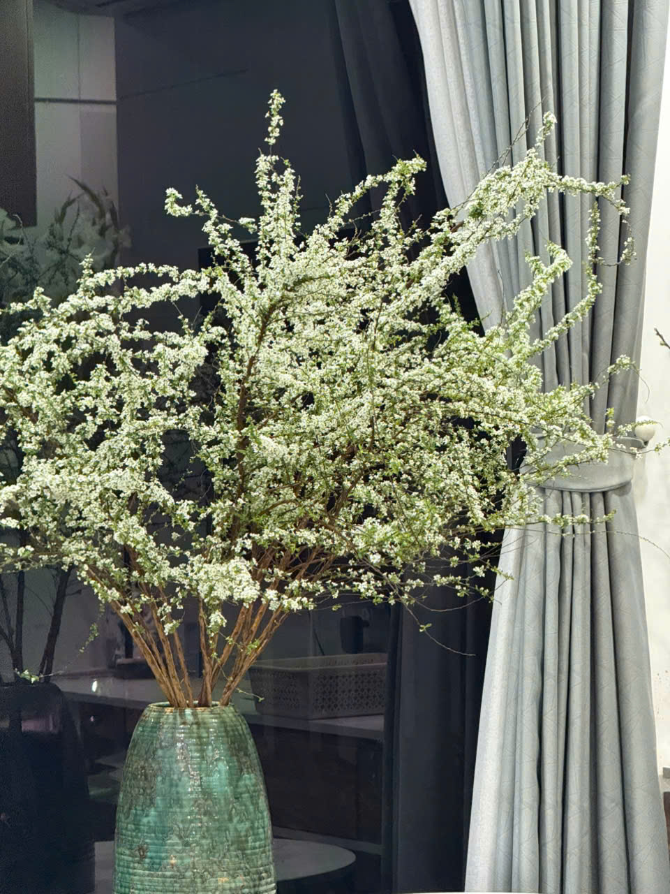 Tuyết mai công ty VIP (bó 4-6 cành)