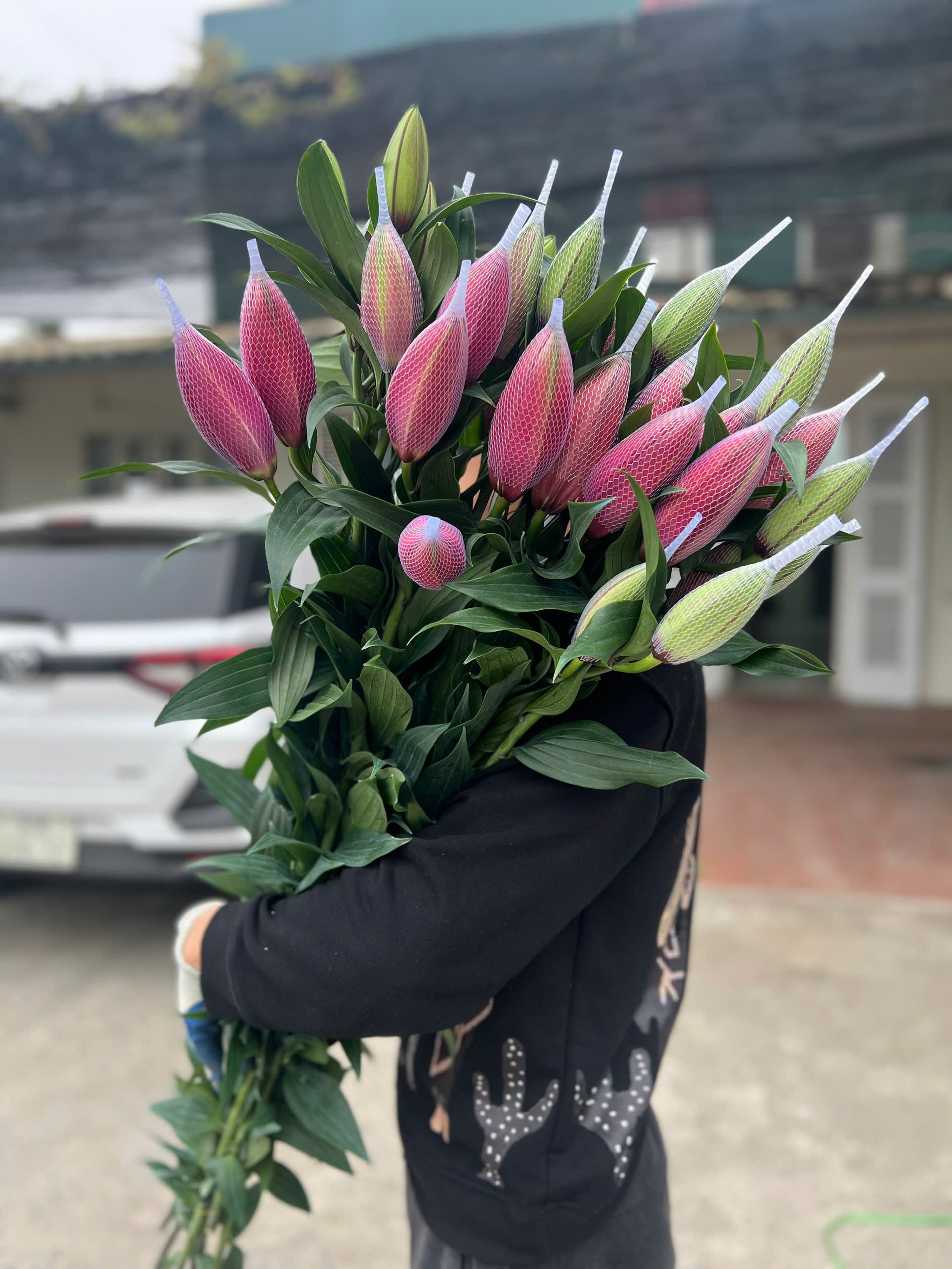 ly-kep-hong-dam-floreta-vip-bo-5-canh-4-5-tai