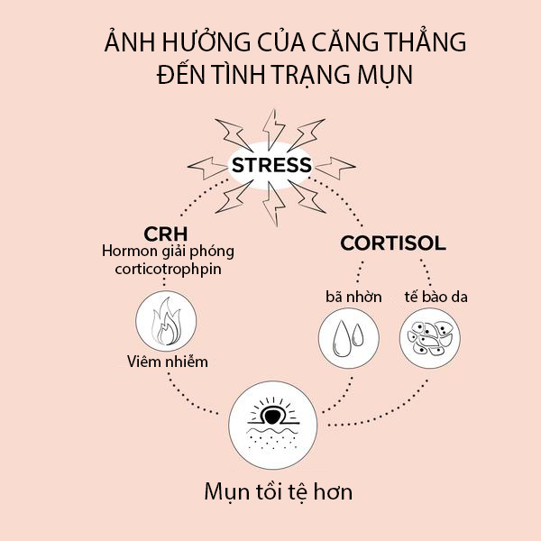 tác động của căng thẳng đến tình trạng mụn