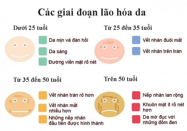 Các cấp độ lão hóa da theo thời gian