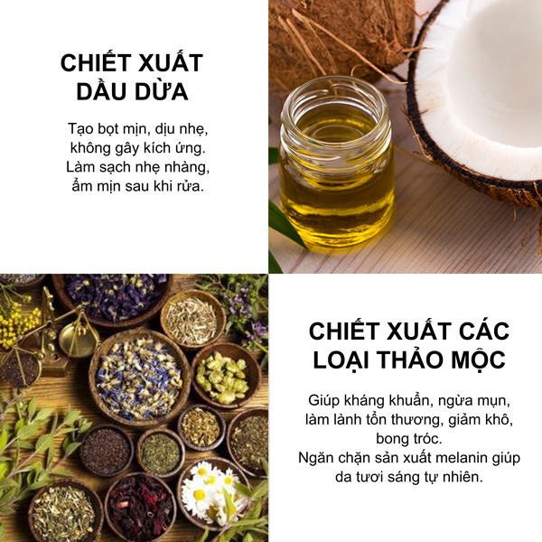 Sữa rửa mặt Cicadiu chứa chiết xuất dầu dừa và các loại thảo mộc