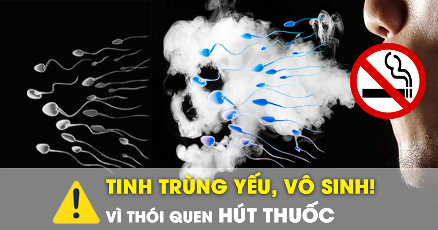 Hút thuốc lá chỉ 2 điếu mỗi ngày cũng “hủy hoại” tinh trùng và có nguy cơ liệt dương