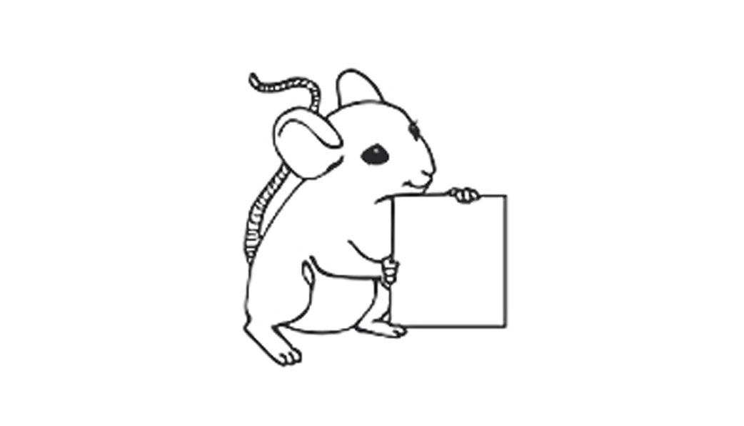 Mẫu hình con Chuột lên ví