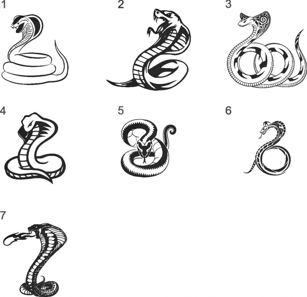 Xem hơn 100 ảnh về hình vẽ rắn đẹp - daotaonec