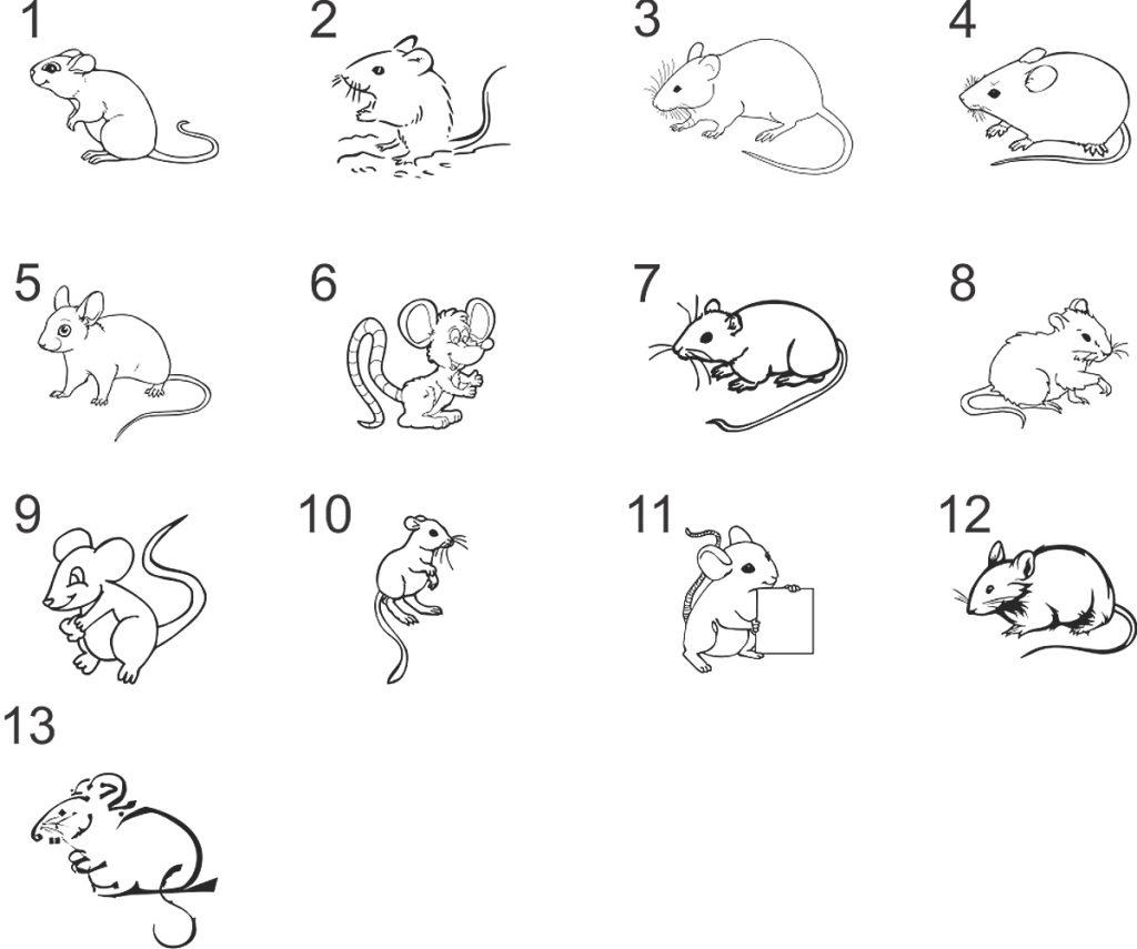 9 bước hướng dẫn chi tiết cách vẽ con chuột cute đơn giản cho bé Update 2023