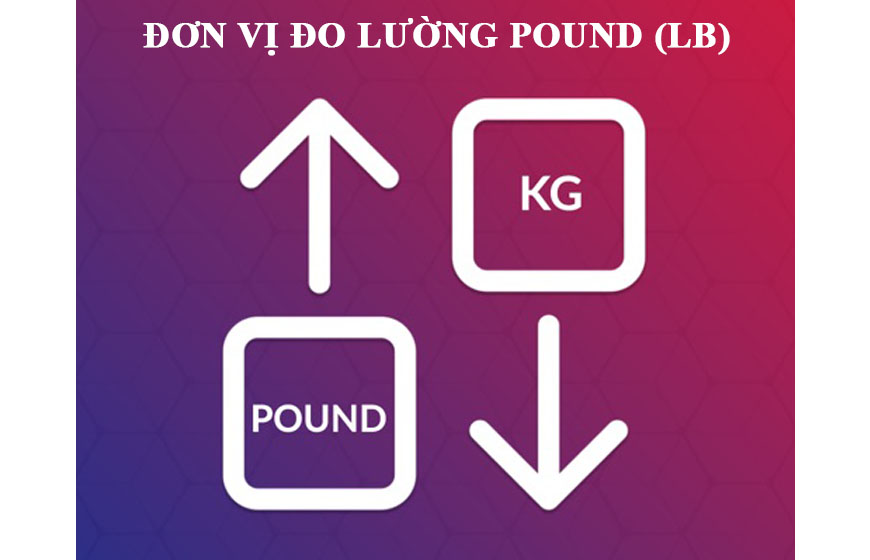 đơn vị cân tiểu ly pound 