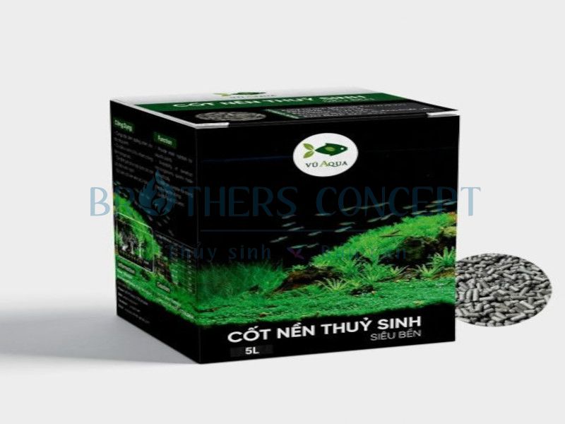 CỐT NỀN VŨ AQUA