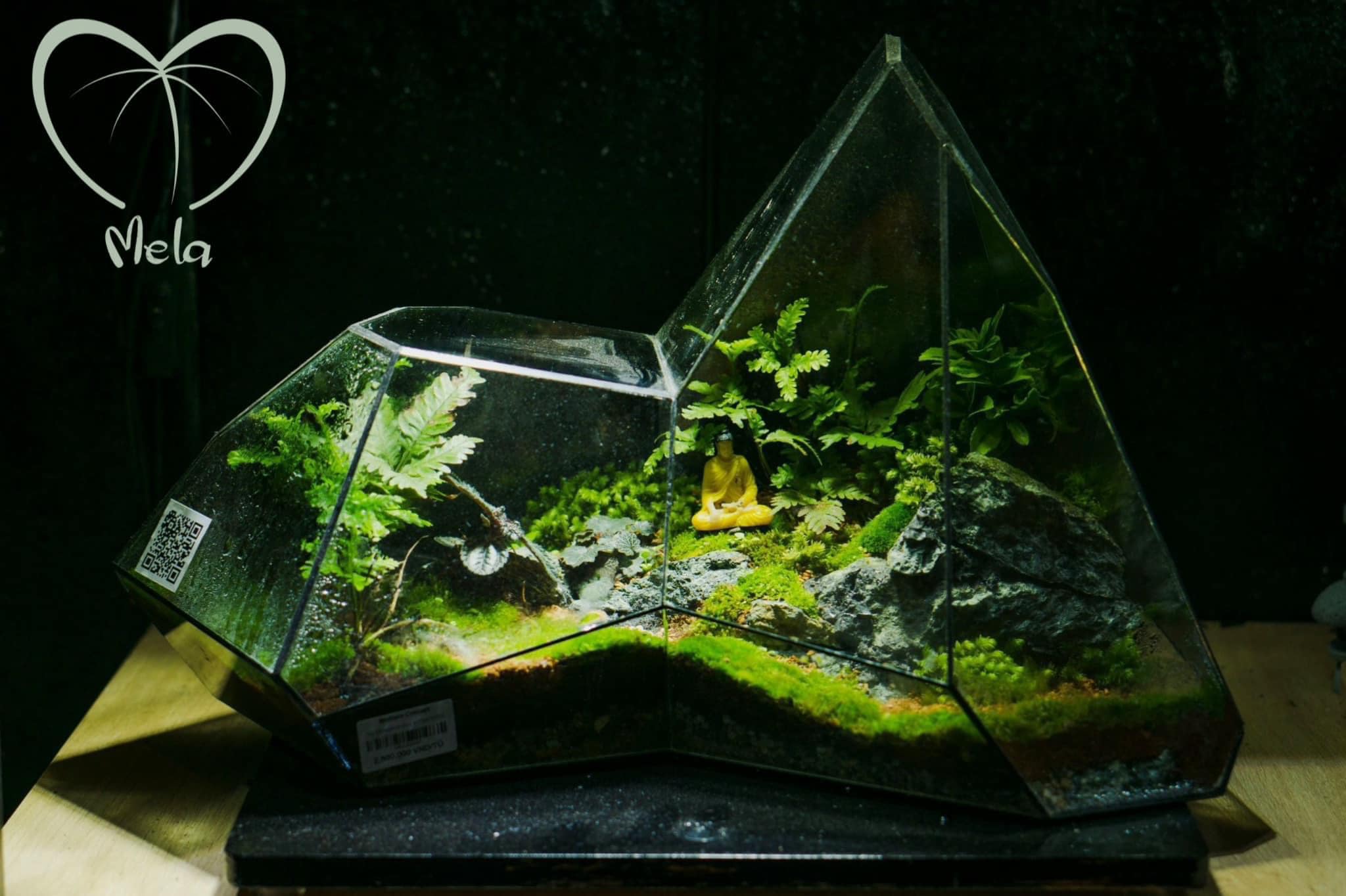Tiểu cảnh terrarium - 𝐓𝐡𝐚𝐧𝐡 𝐭𝐚̂𝐦