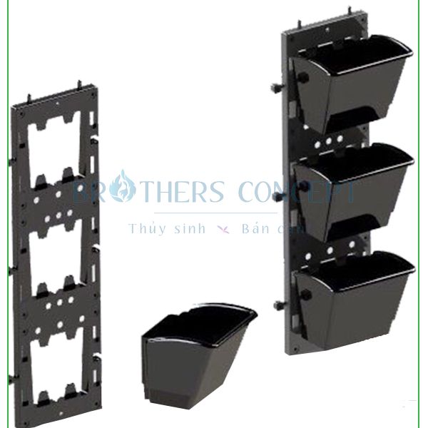 MODULE TRỒNG CÂY