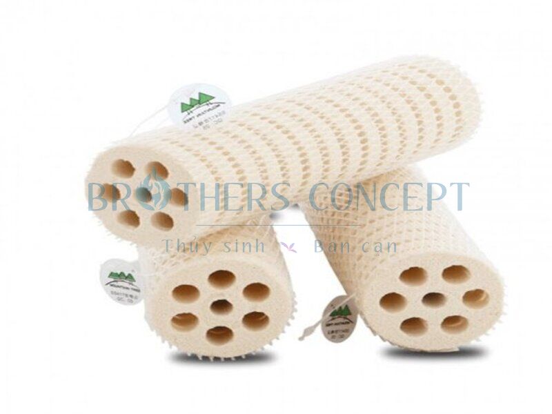 SỨ LỌC MOUTAIN TREE