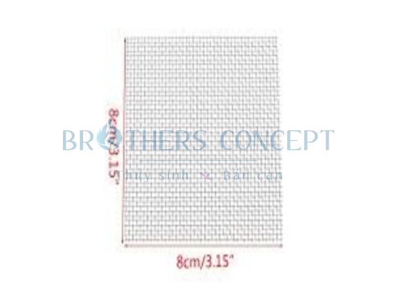 VỈ BUỘC CÂY INOX