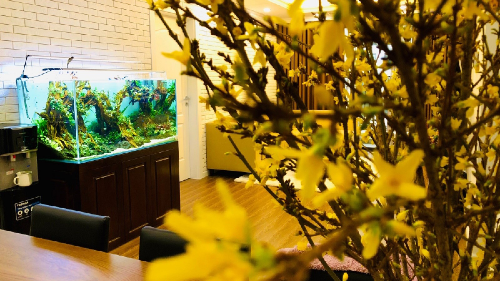 Thiết kế thi công bể thủy sinh