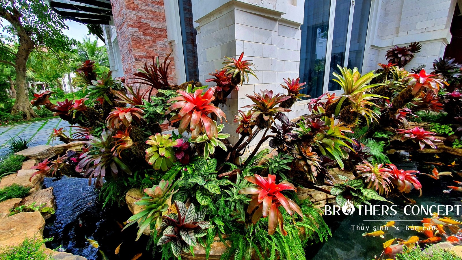 Thiết kế thi công công trình bán cạn