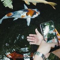 Chất lượng vượt trội