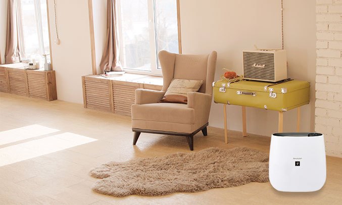 Máy lọc không khi Sharp FP-J30E-B