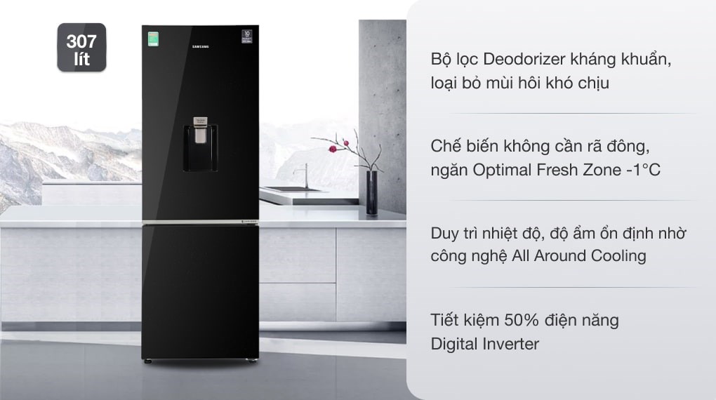 Tủ lạnh Samsung RB30N4190BU/SV Inverter 307 lít