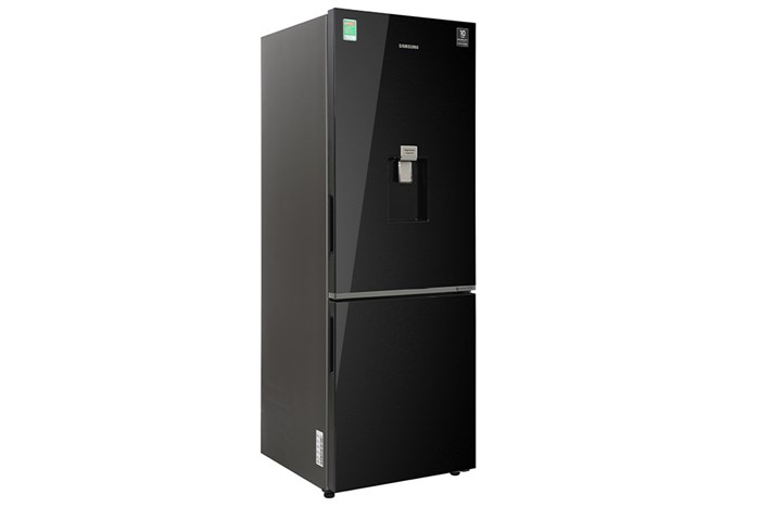 Tủ lạnh Samsung RB30N4190BU/SV Inverter 307 lít