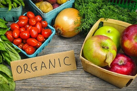 Kỹ thuật trồng rau sạch trong chậu xốp tại nhà đơn giản