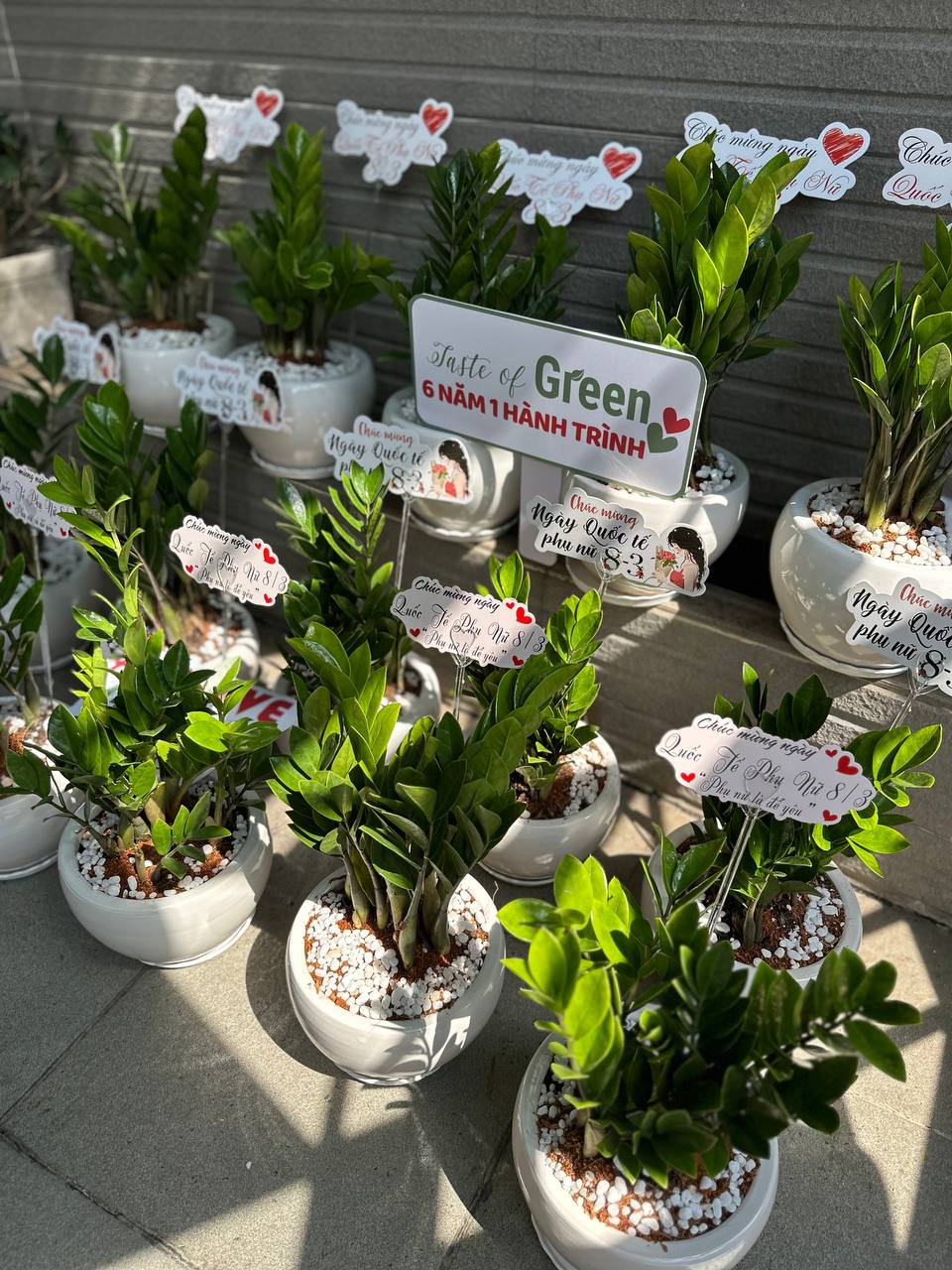 Chương Trình Ưu Đãi Đặc Biệt Ngày 8/3 Từ GREEN FOOD