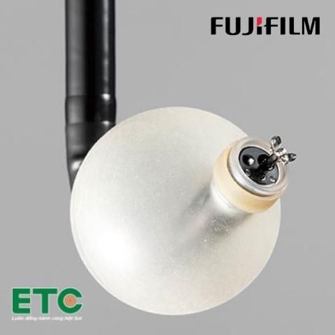 Ống Nội soi bóng đôi