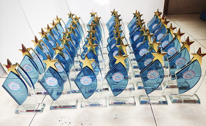 Biểu trưng cánh buồm xanh gắn sao