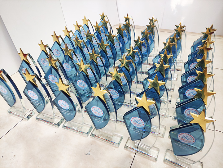 Biểu trưng cánh buồm xanh gắn sao