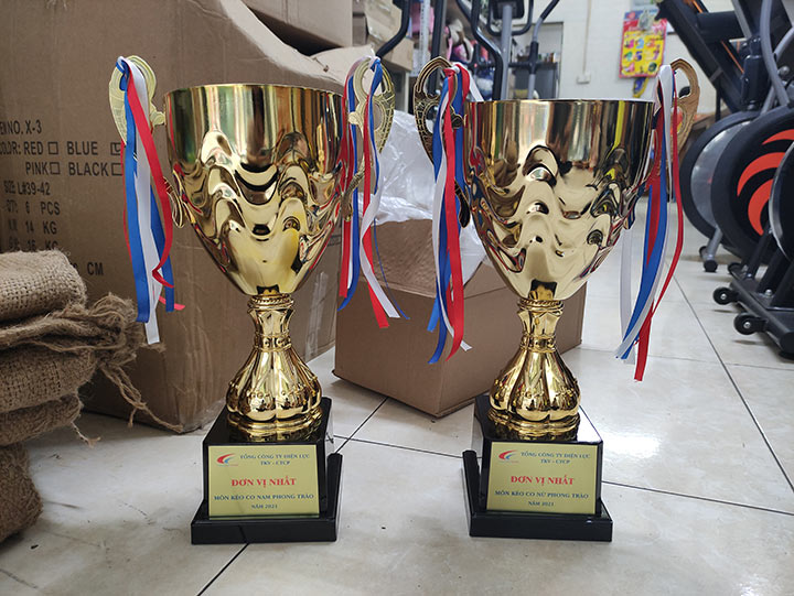 Cúp kim loại giá rẻ 2083