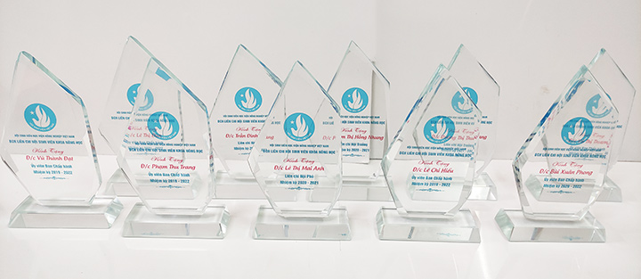 Kỷ niệm chương pha lê vát lệch